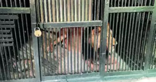 落身亡“只为拍一张精彩的照片”！long8唯一登录新西兰游客坠(图10)